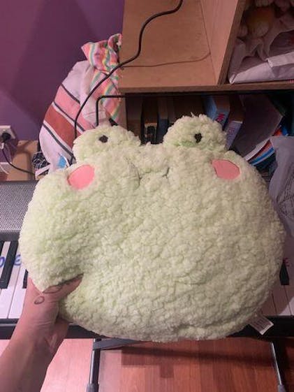 Fluffy Cheerful Frog Plushie Collection – Kawaiies