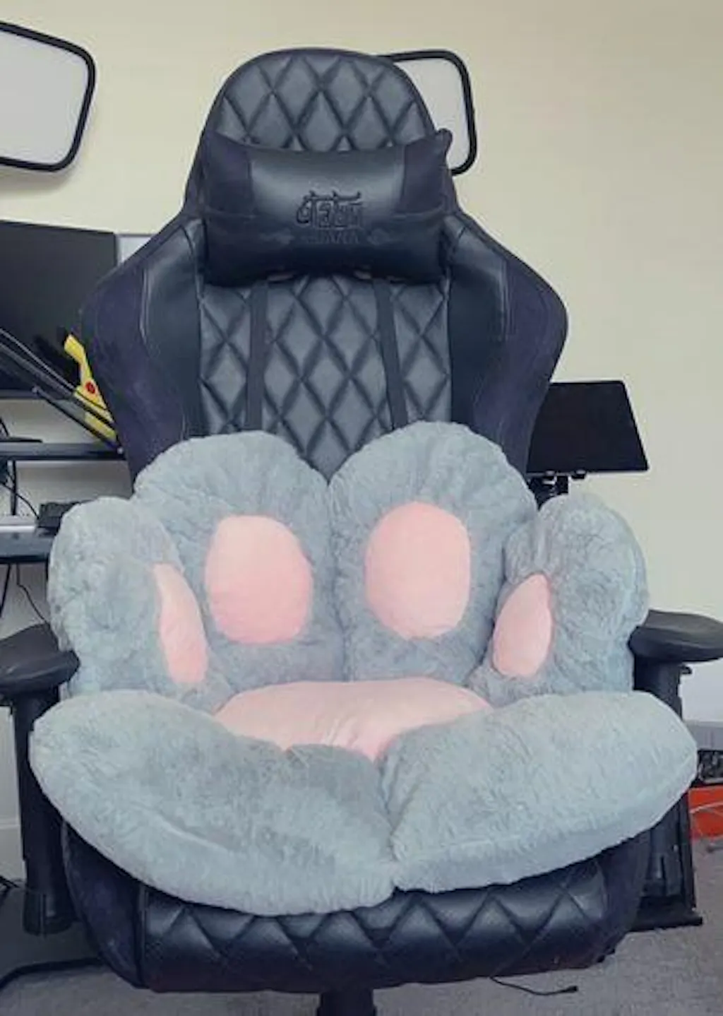 Customer review photo