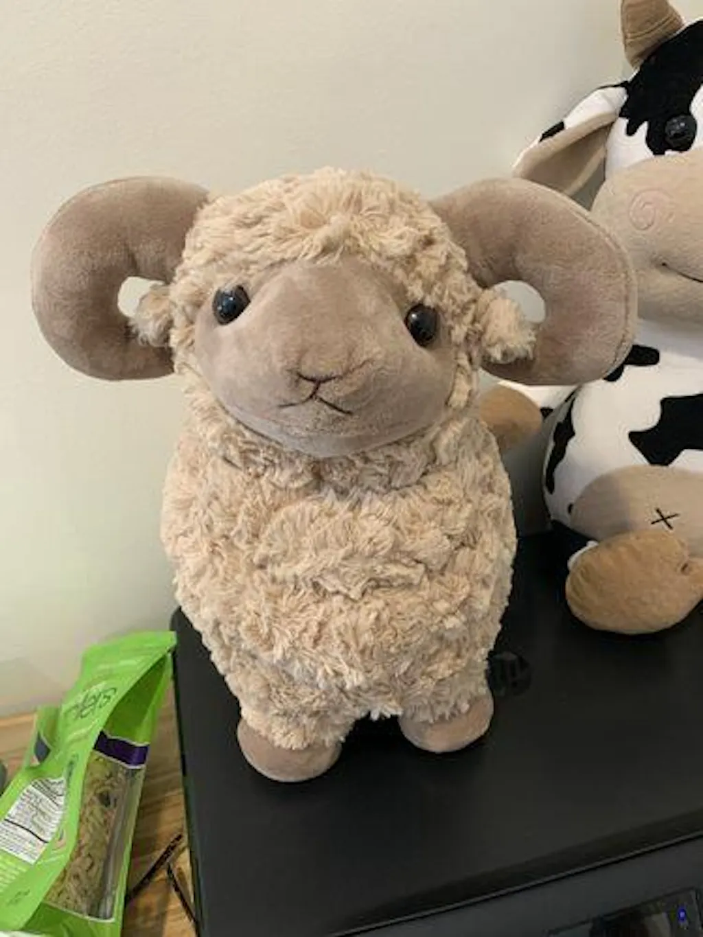 Customer review photo