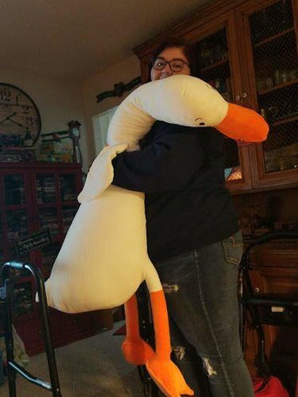 Sora the Adorable Swan Plushie – Kawaiies