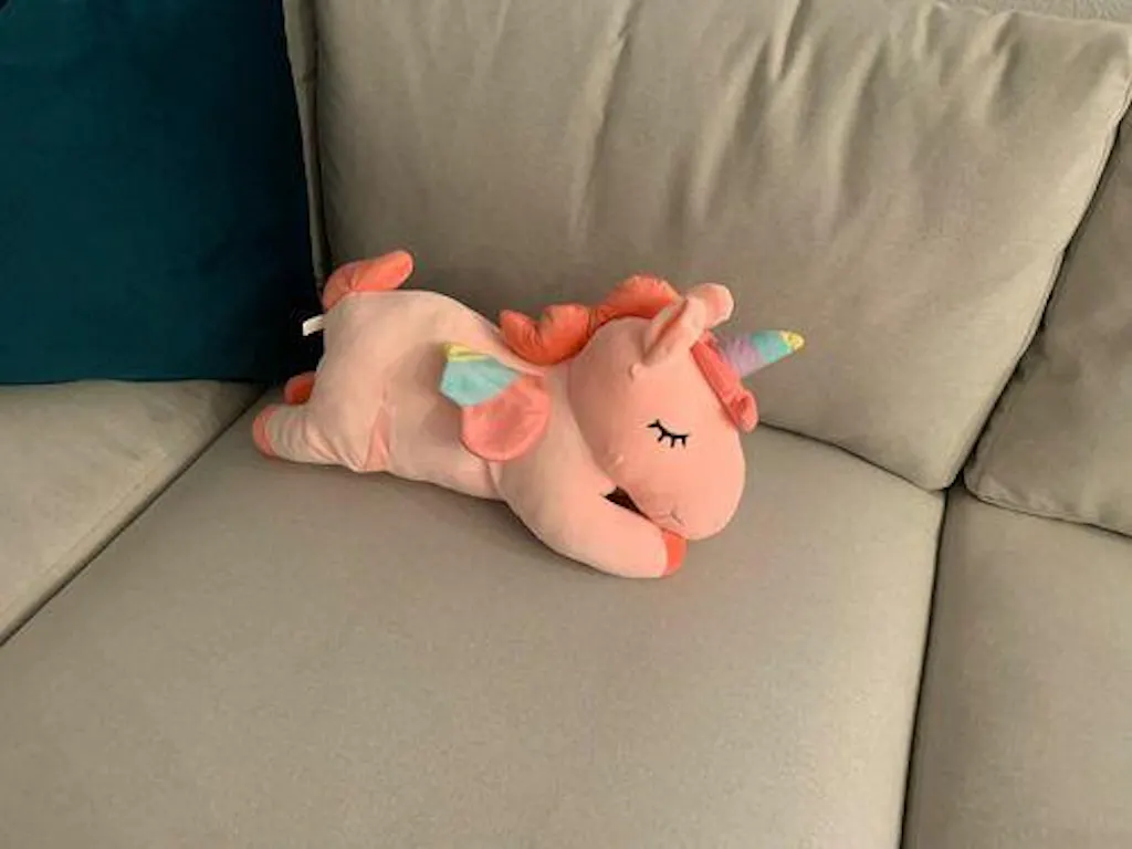 Customer review photo