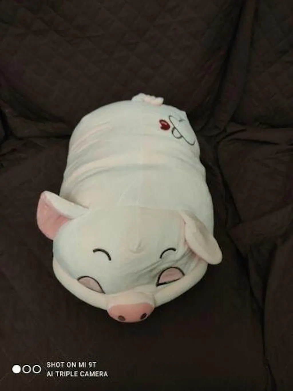 Customer review photo