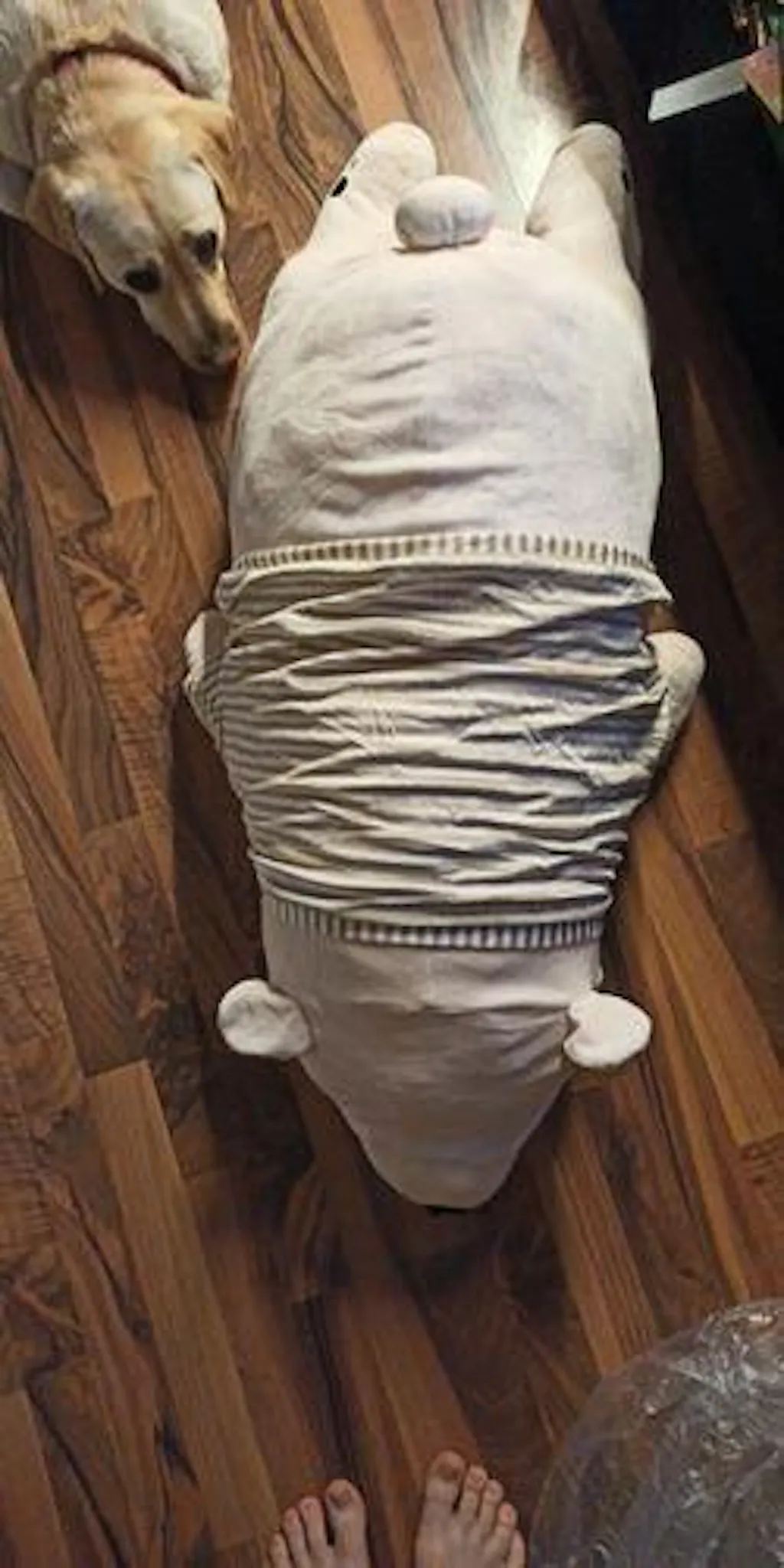 Customer review photo