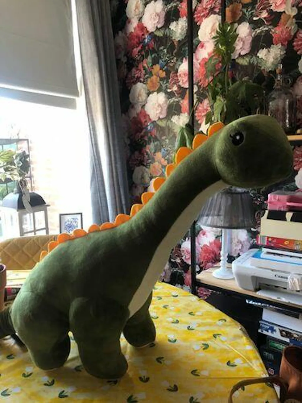 Customer review photo