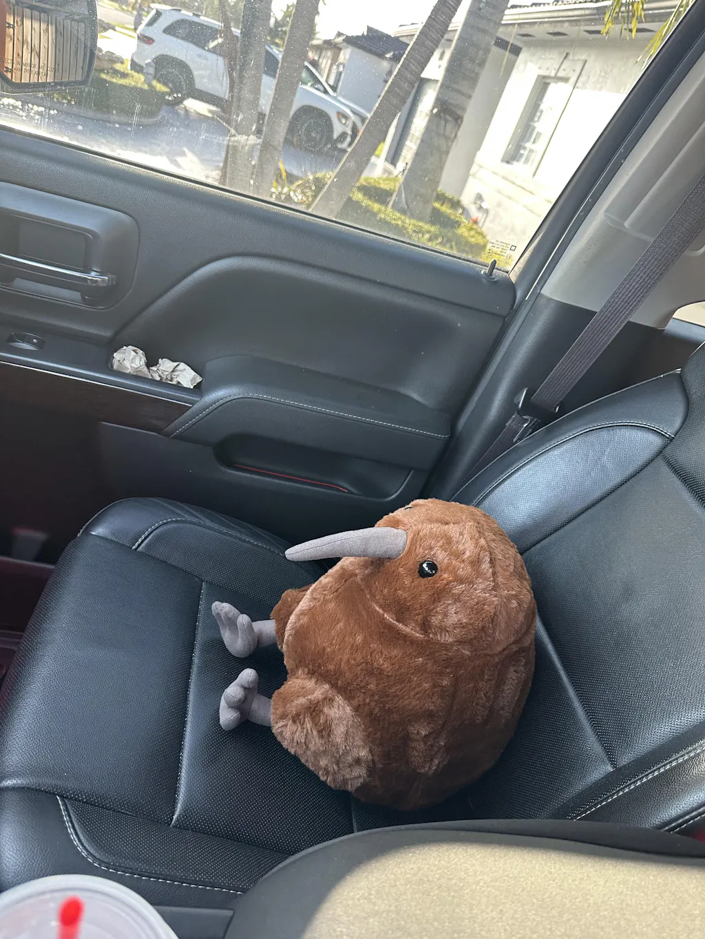 Customer review photo