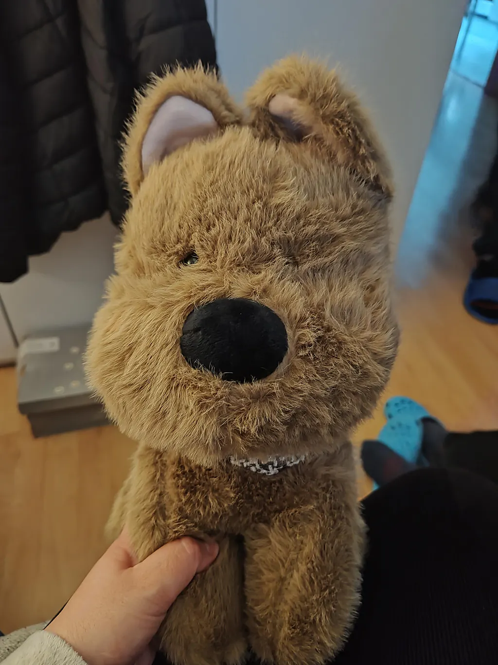 Customer review photo