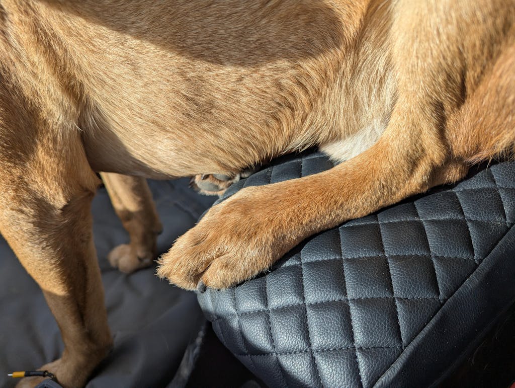 KBH Center Console Armrest Cover for 2015-2022 Chevy Colorado,2015-2022 GMC Canyon