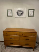 Circle 3D Ultrasound Art