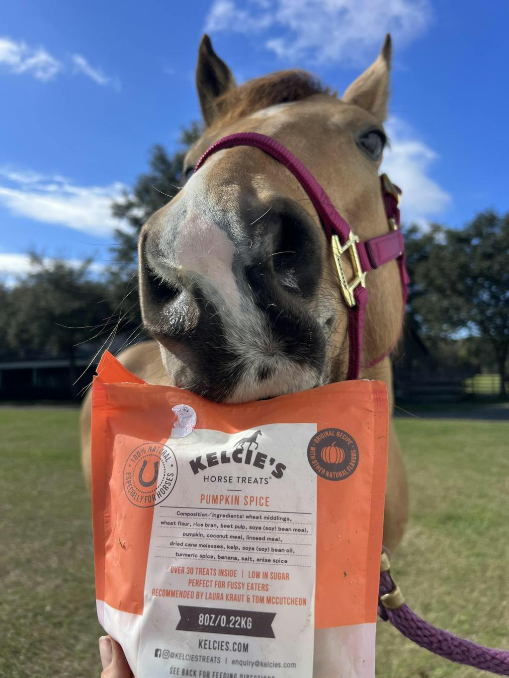 Home Kelcie's Horse Treats