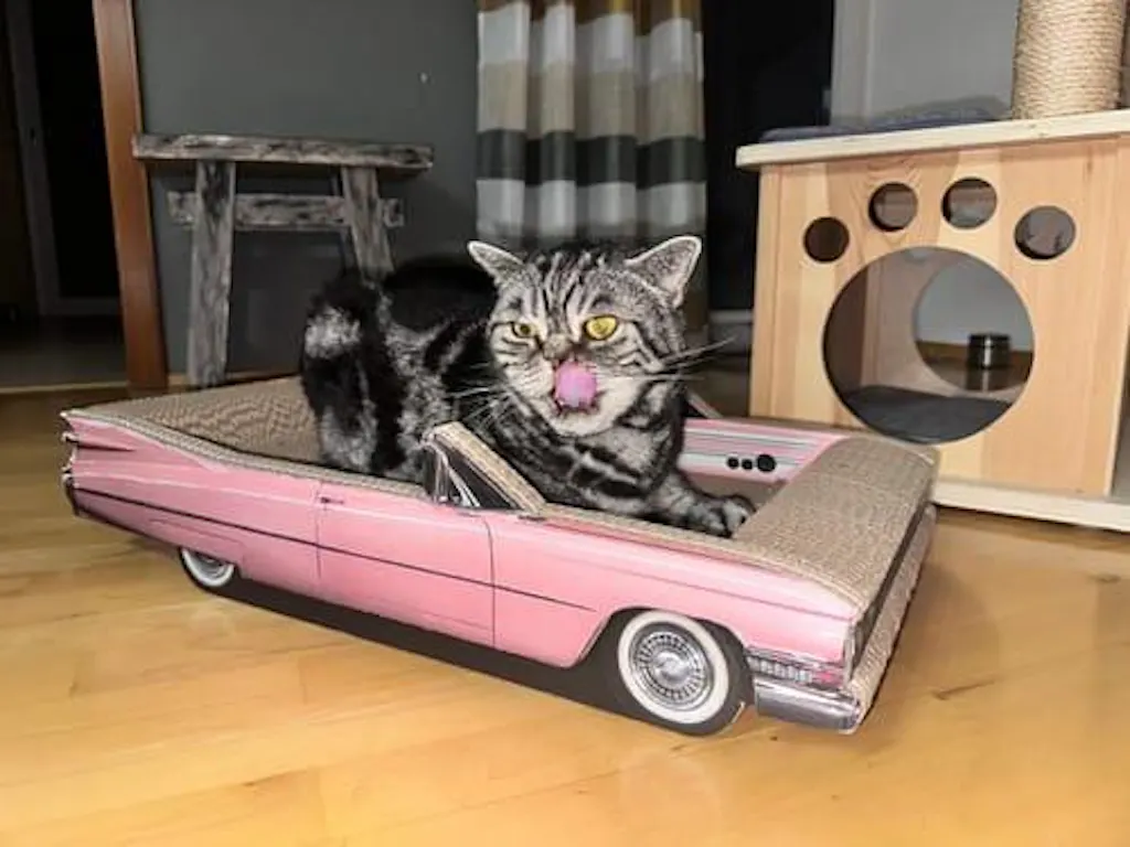 „Catillac" Kratzmöbel