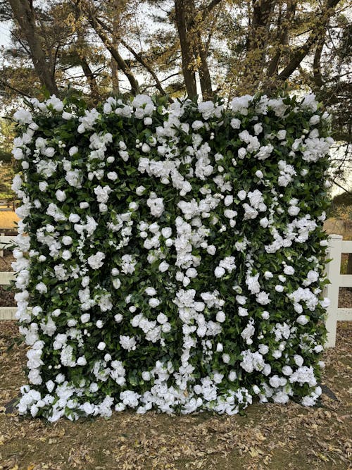 Flower Wall Stand Adjustable Frames Sturdy for Wedding Party Events