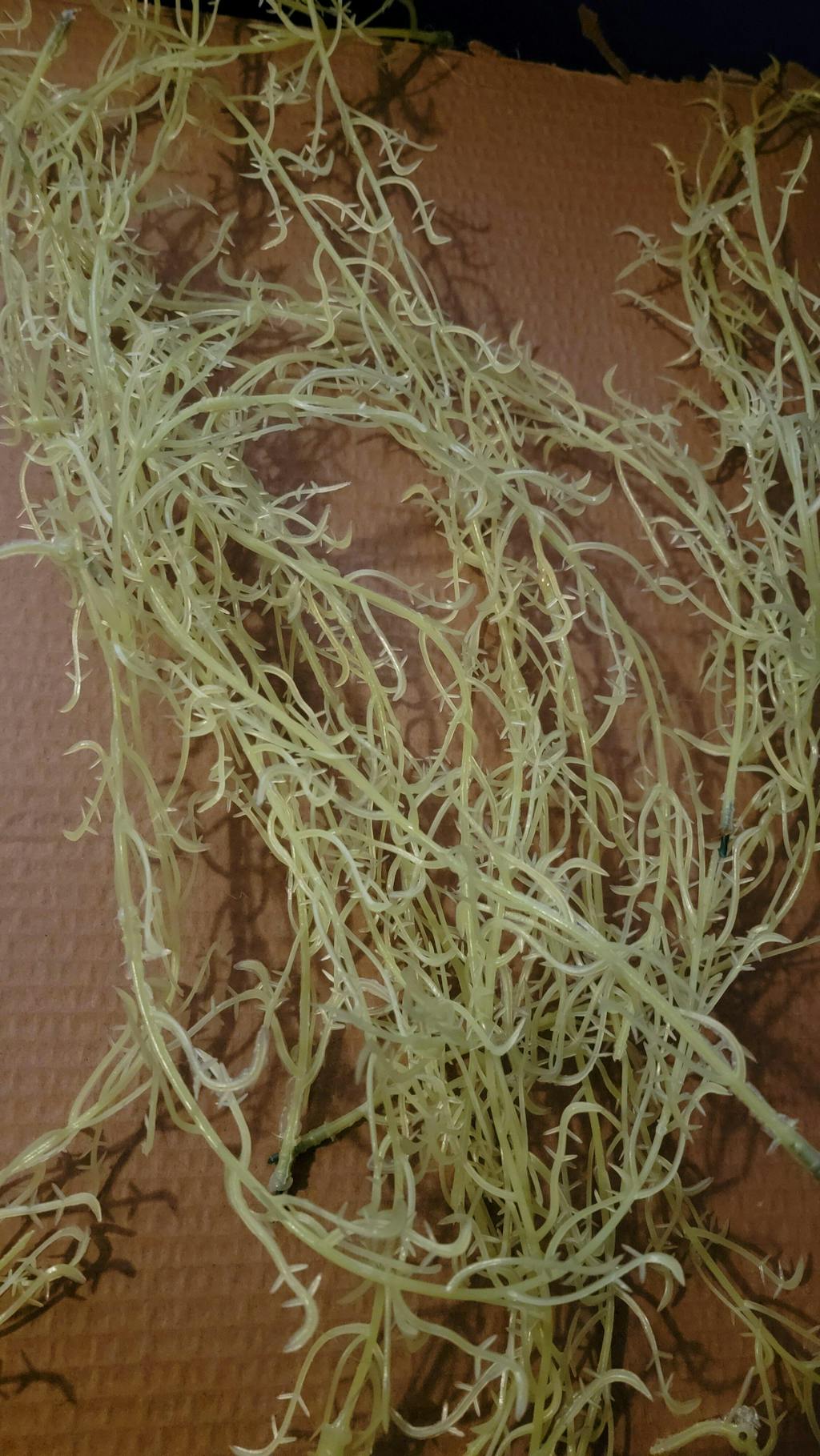 Flower Wall 3D Purple Florals Cover Wedding Party Proposal Decor