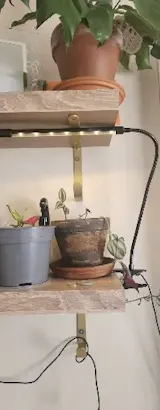3-Color LED USB Grow Light