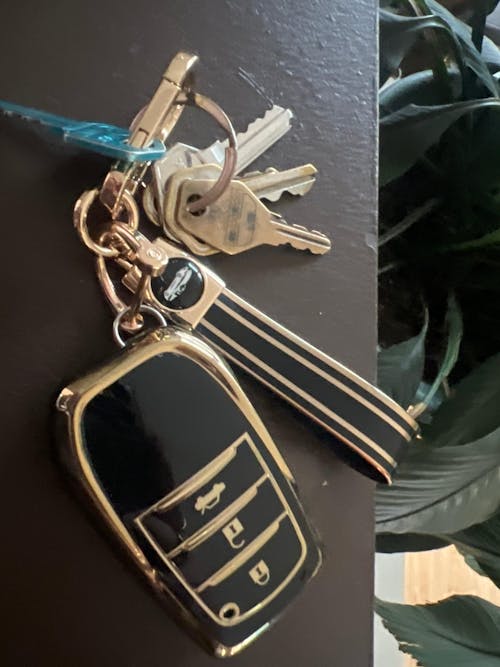 Toyota key cover - 3 button | RAV4, Corolla, Camry, Prado, Land Cruiser key fob cover | Toyota Accessories