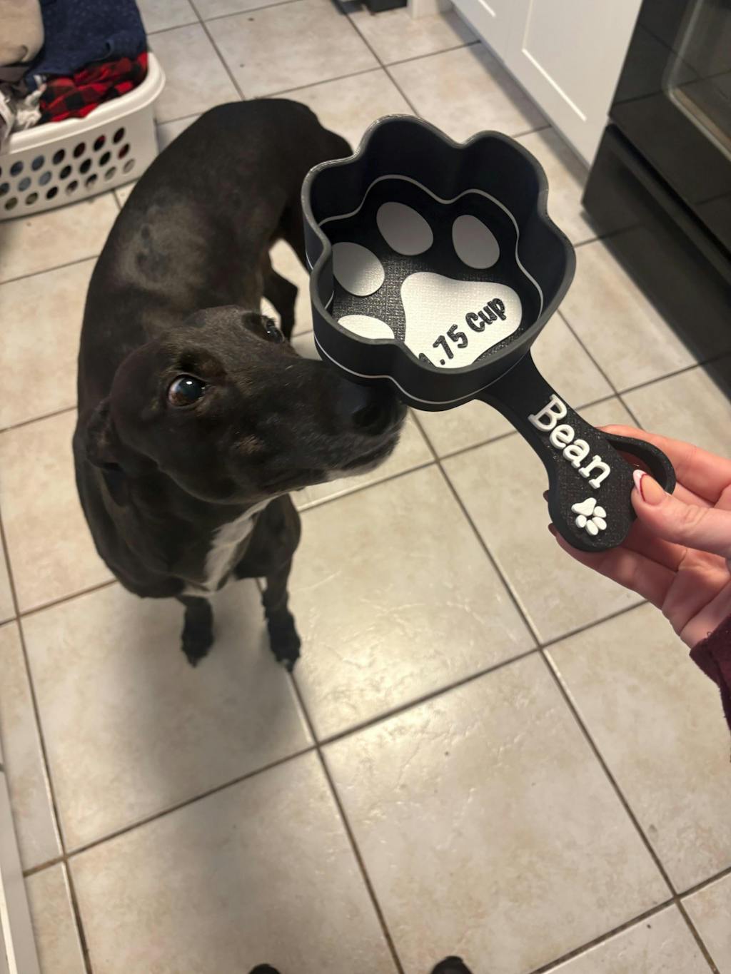 Personalized Paw Shaped Dog Food Scoop