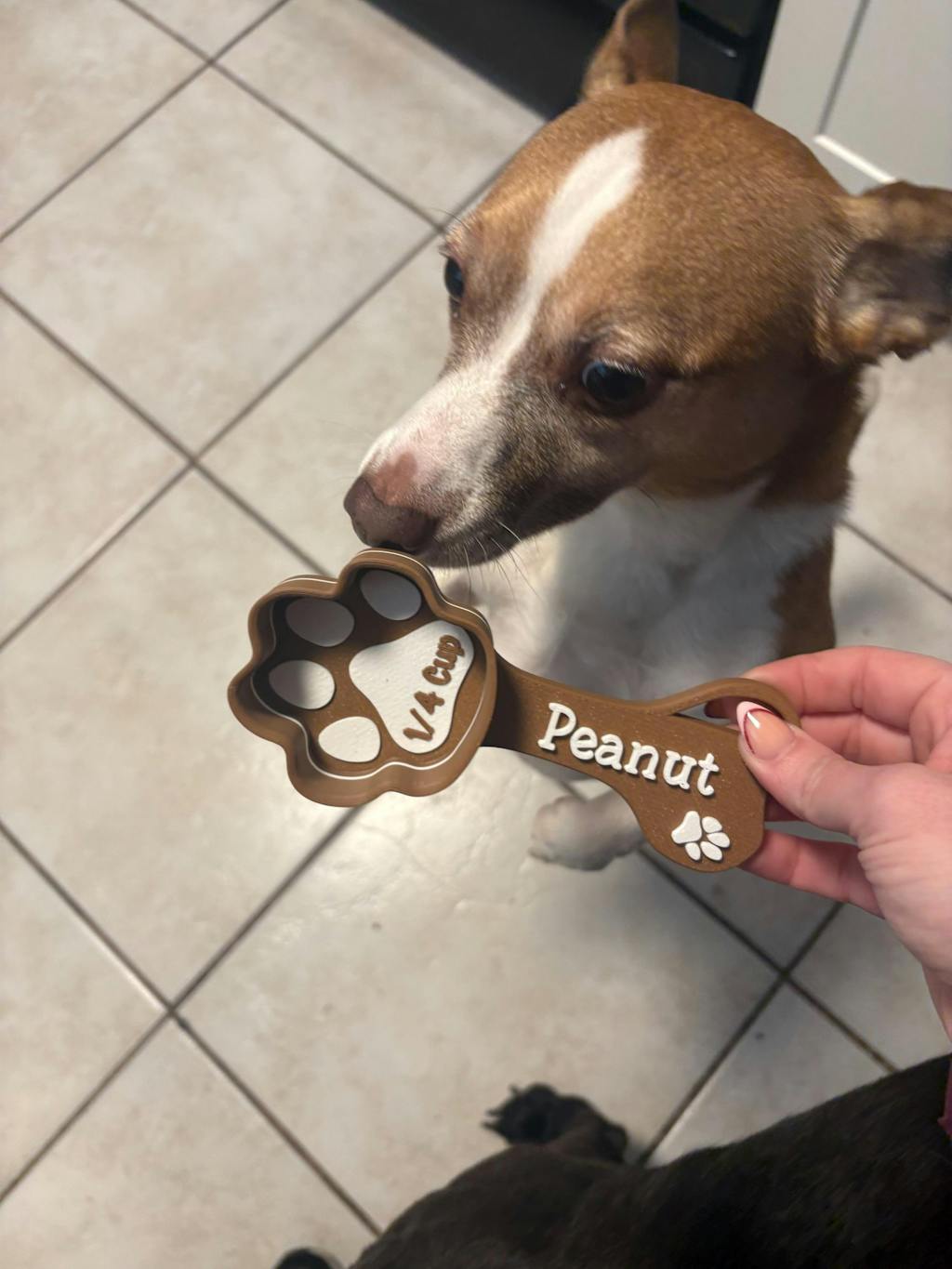 Personalized Paw Shaped Dog Food Scoop