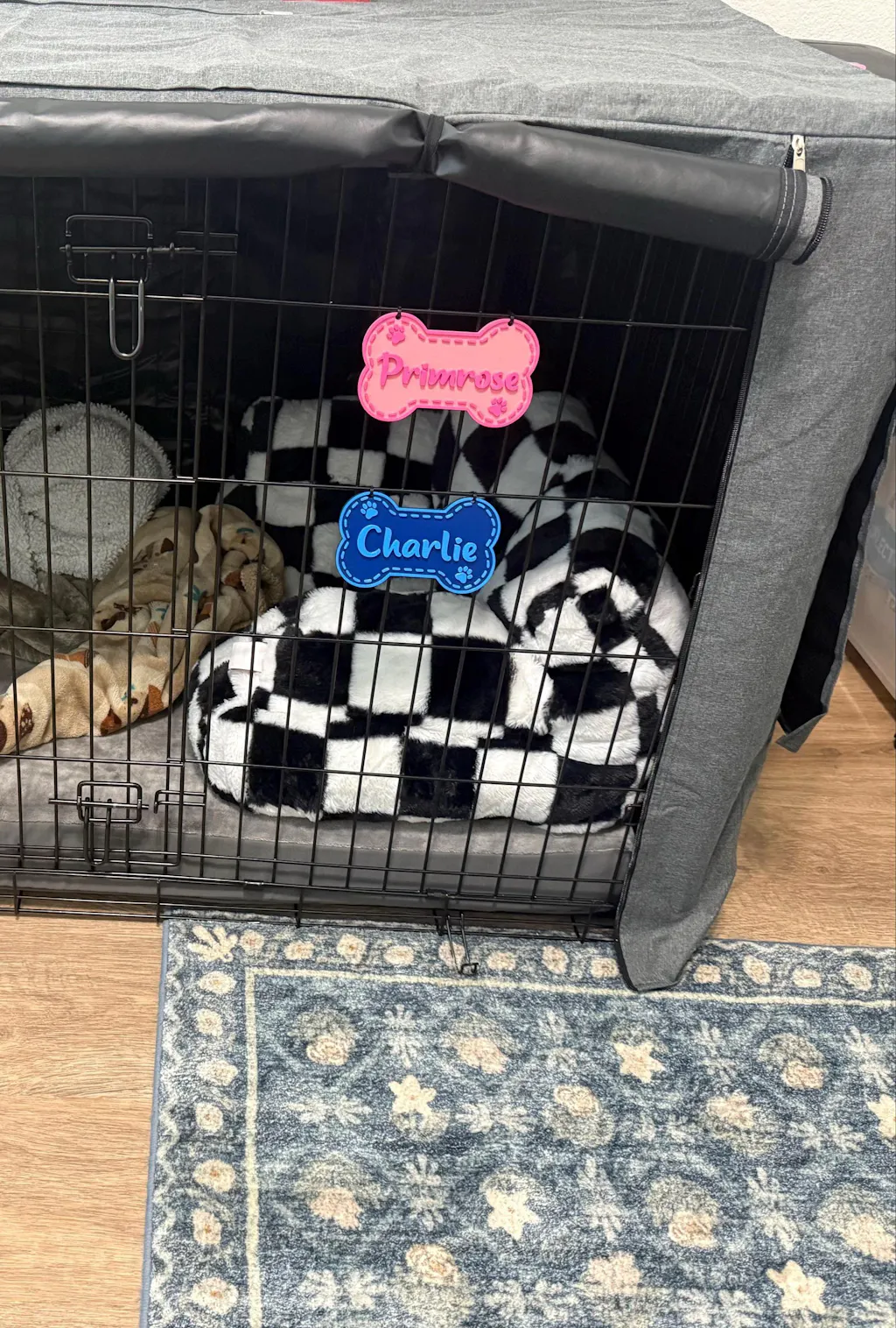 Personalized Dog Crate Tags