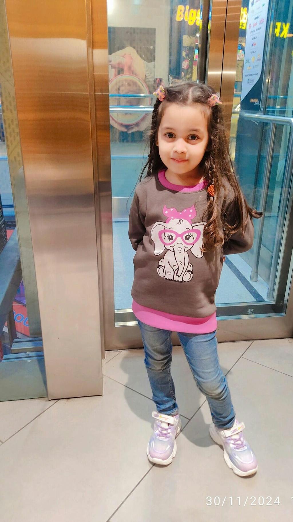 Elephant Printed Sweatshirt