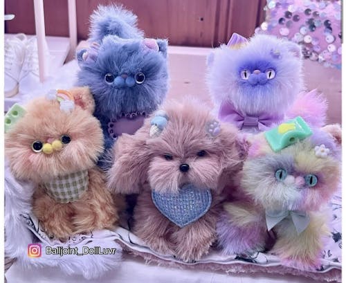 Adorable Kitten Collection