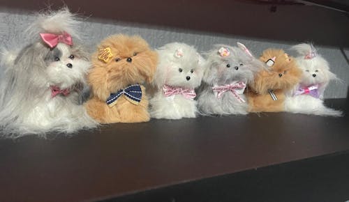 Fluffy Puppy Collection