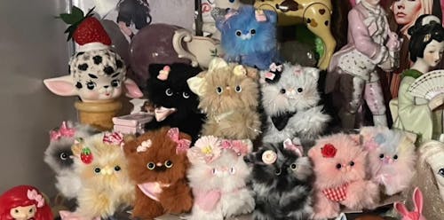 Adorable Kitten Collection