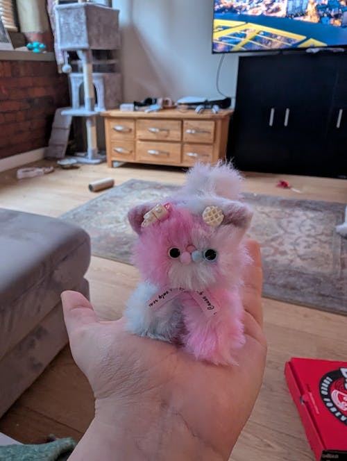 Custom Handmade Fluffy Kitten