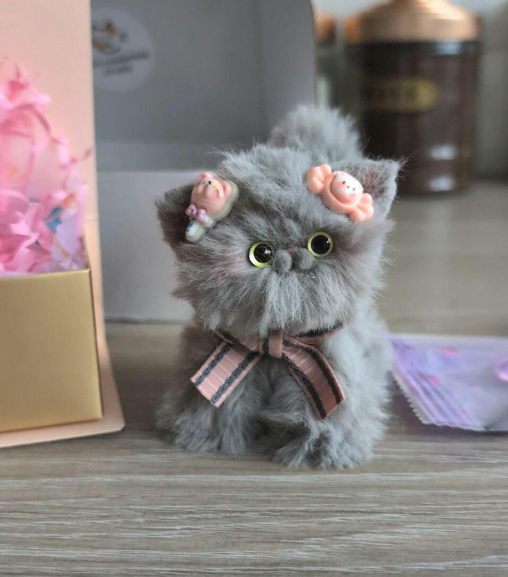 Adorable Kitten Collection