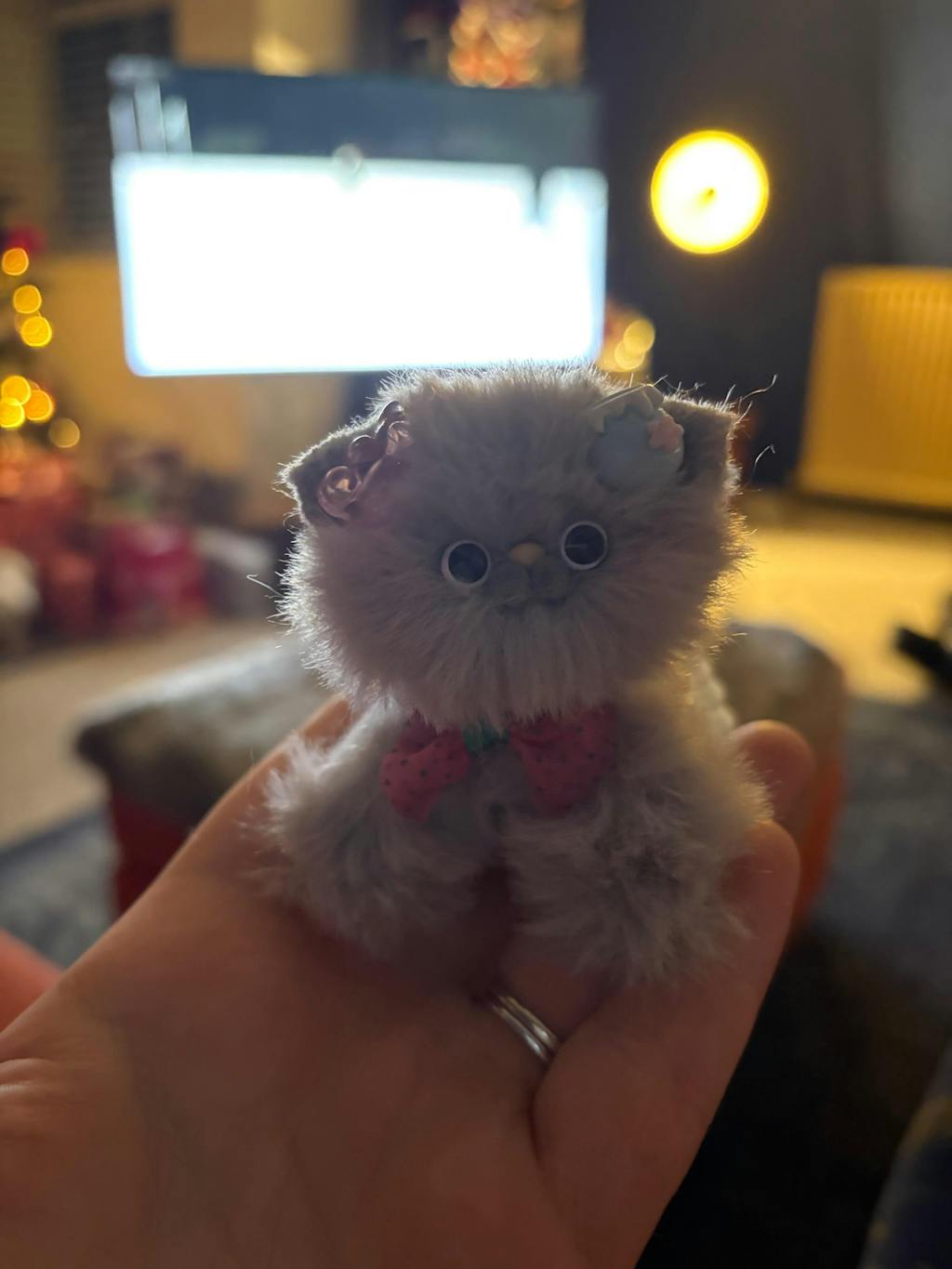 Adorable Kitten Collection