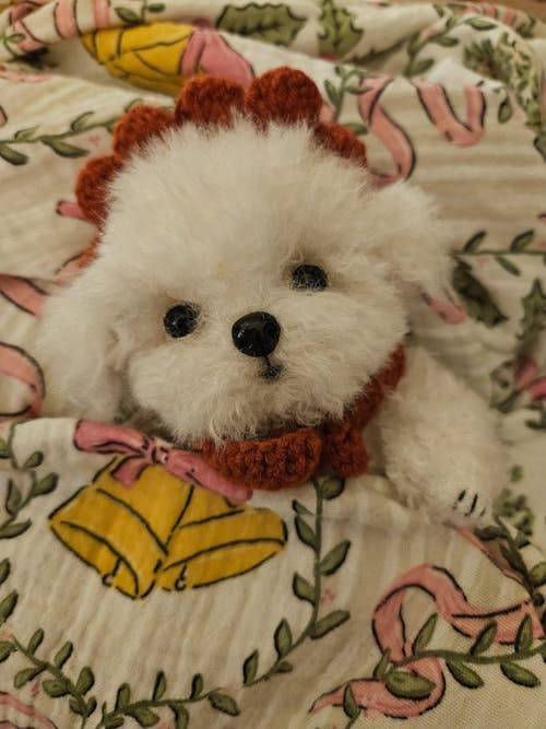 Cuddly Curly Teddy Dog