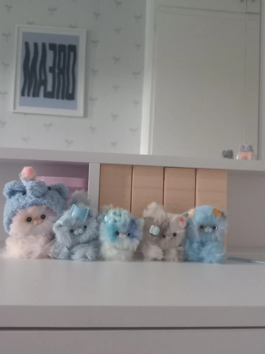 Fruity Kitten Collection