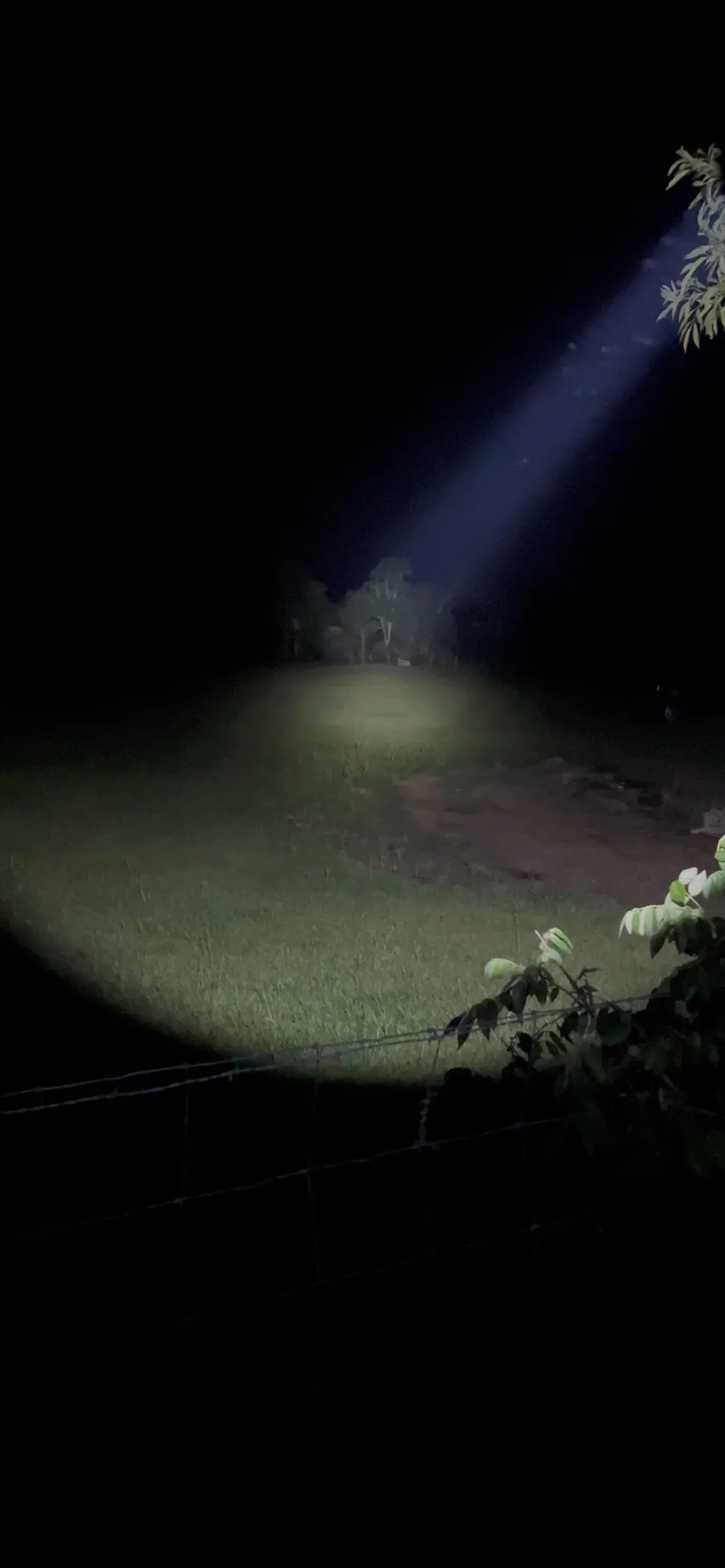 Weltool LH8 Light Head — Killzone Flashlights