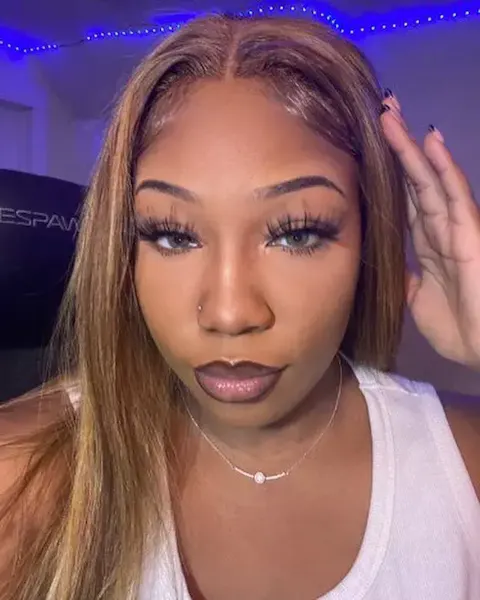 Highlight Wear Go Glueless Wig 6x4 HD Lace Wig Pre-Everything Wig Straight Hair P4/27