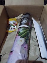 Paraguas plegable automático Nicole Lee Violet Blossom