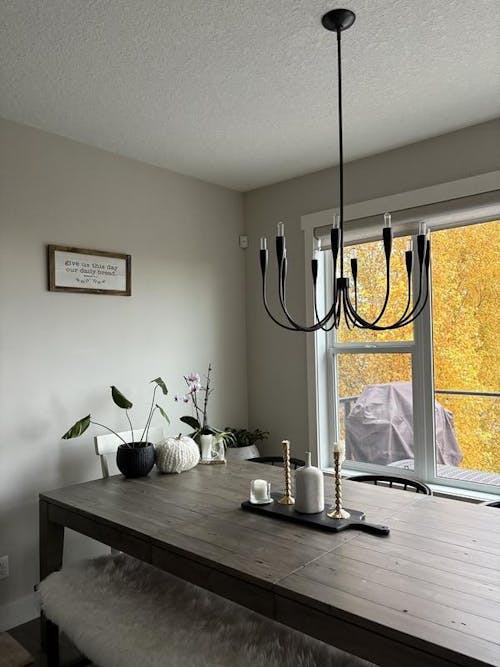 Iiona Candelabra Chandelier Light