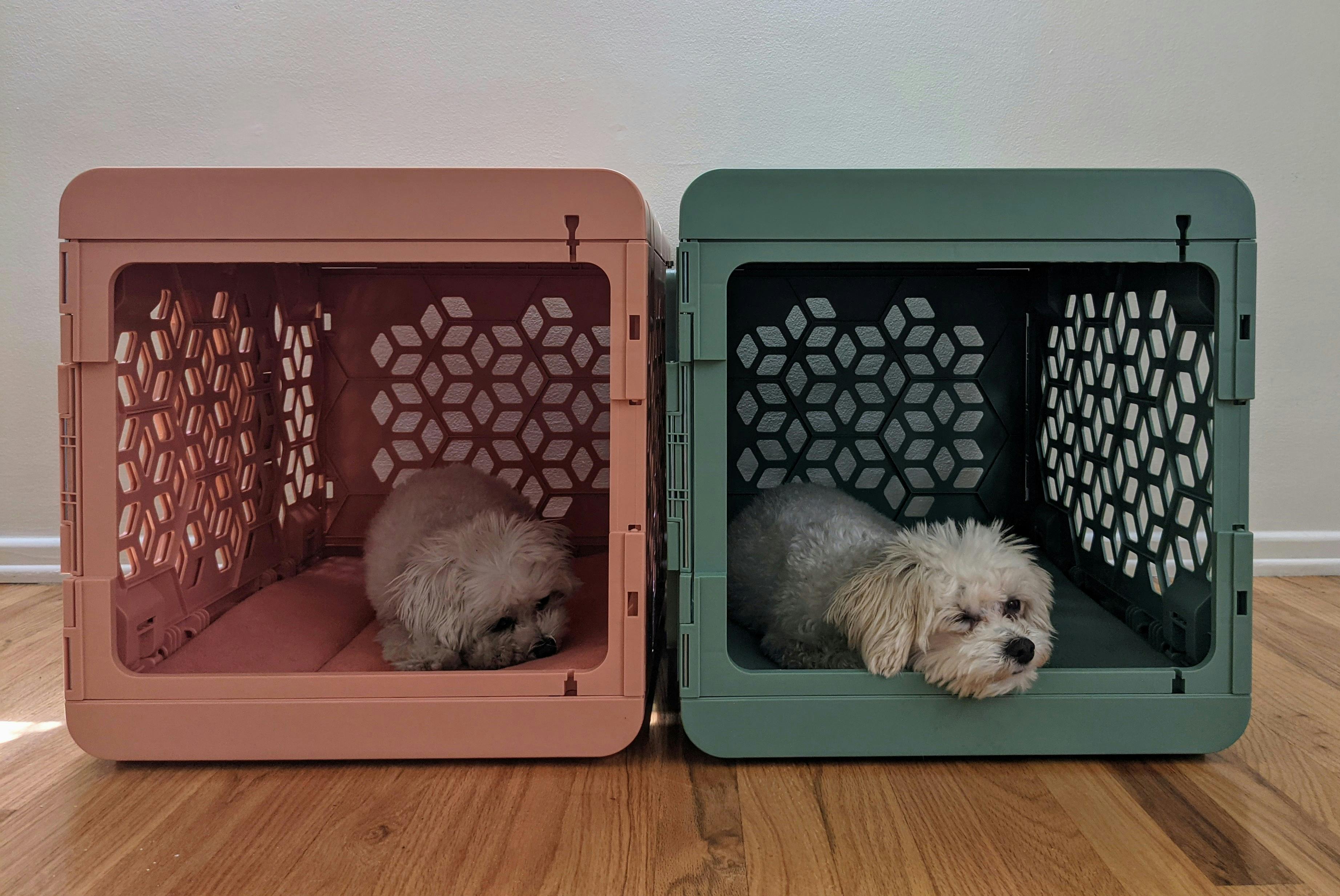 Modern Collapsible Plastic Dog Crates KindTail   1618962724  PXL 20210420 195543206  Original 