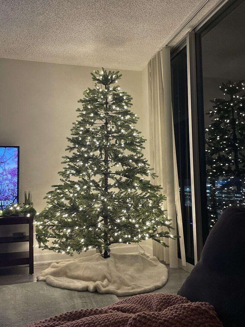 9' Rushmore Flock Tree 1000 Warm White Led Lights – King of Christmas