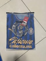 Chivas 25/26 Alternativa Versión Jugador