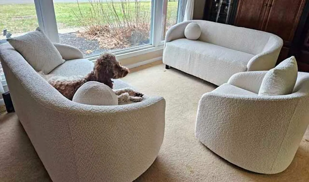 Customer Furniture Image 1