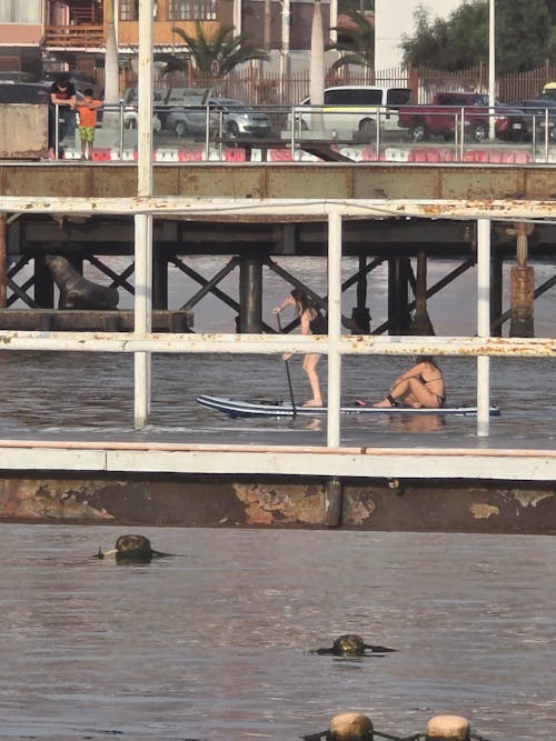 Stand Up Paddle Board 365 cm Drop Stitch Seawave 1 un