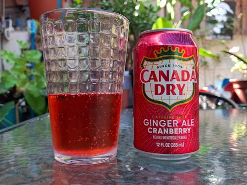 Bebidas Ginger Ale Cranberry Lata Canada Dry 355 ml