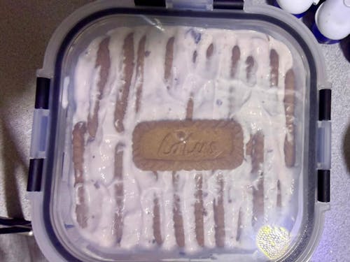 Galletas Biscoff Lotus 4 un x 250 g