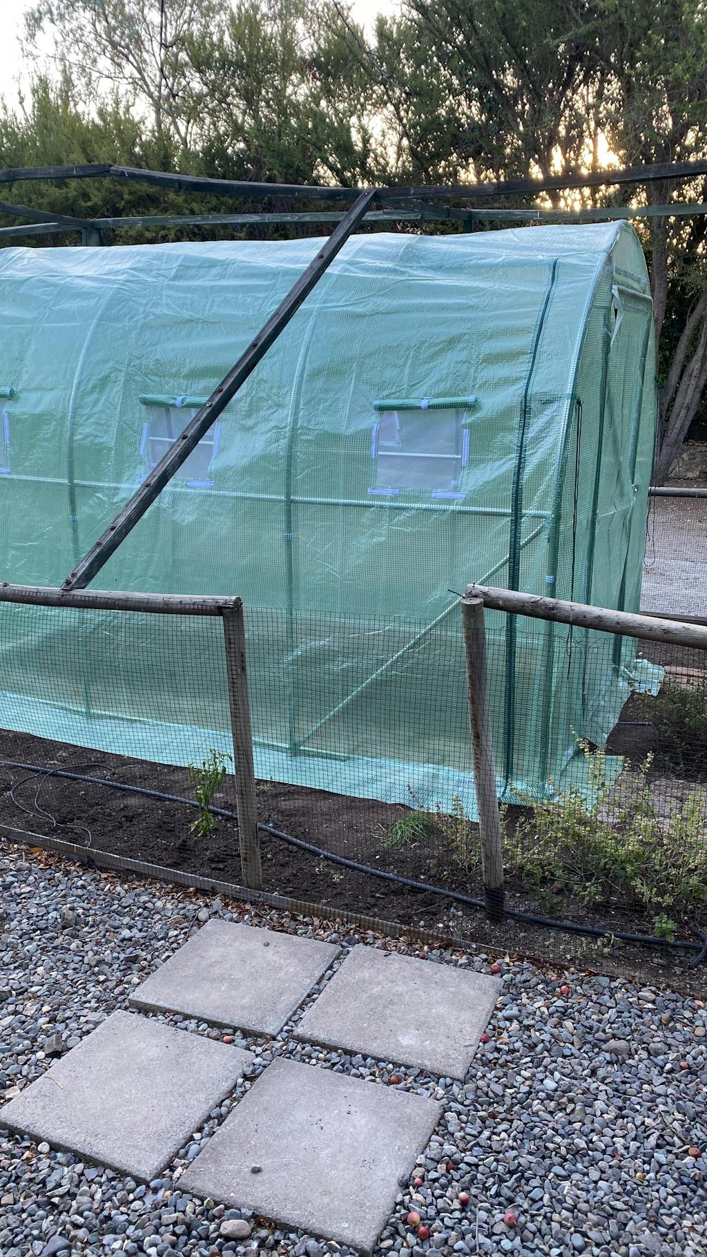 Invernadero Tunel Exteriores con Puerta 2 x 3 m SunnyYard 1 un