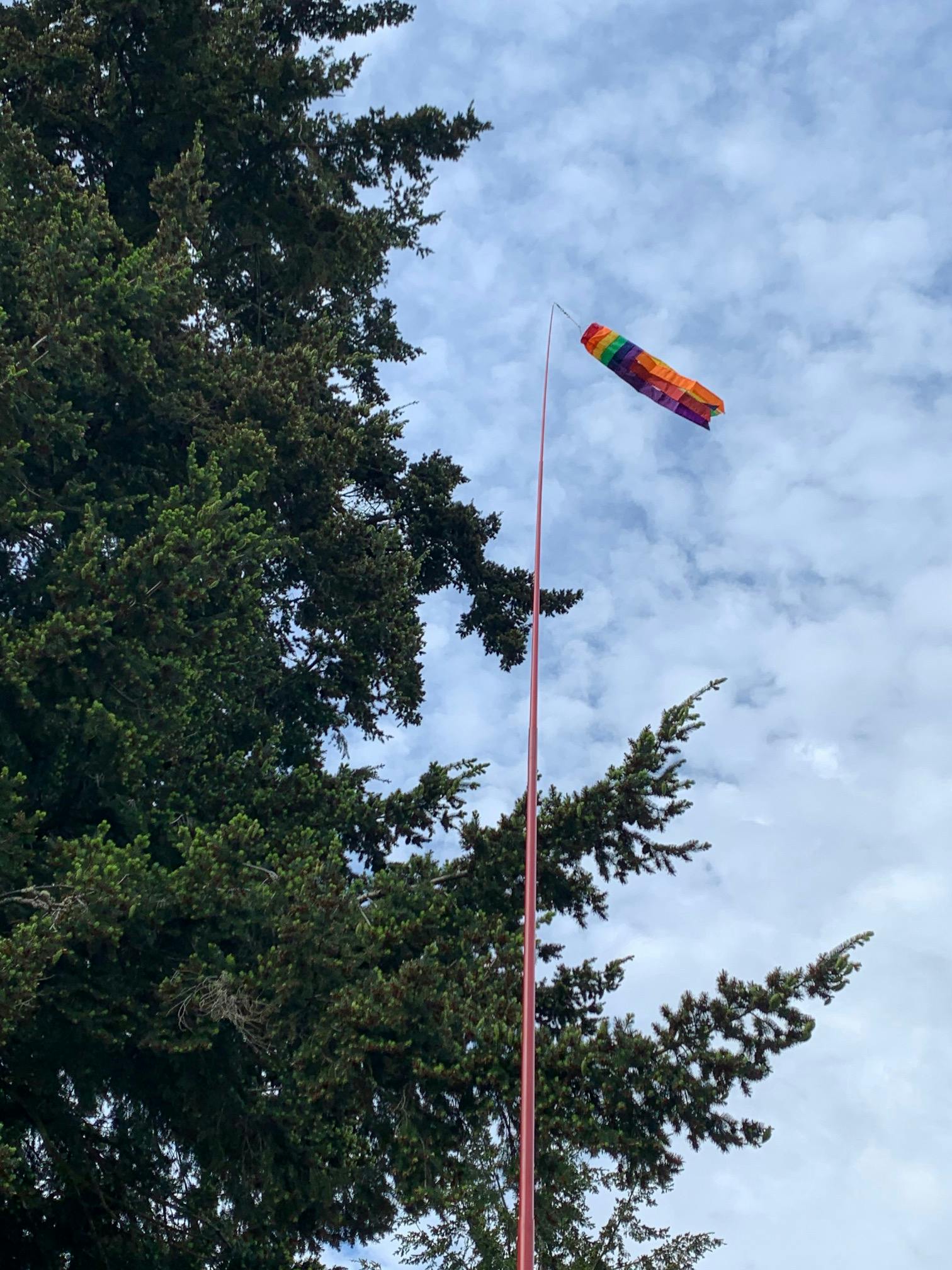 jackite black fiberglass pole for bird kite windsock