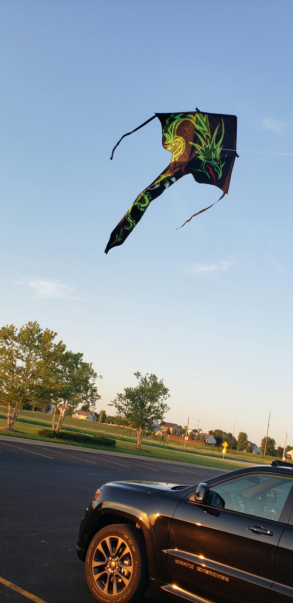Dragon 48 Inch Best Flyer Kite Kitty Hawk Kites Online Store
