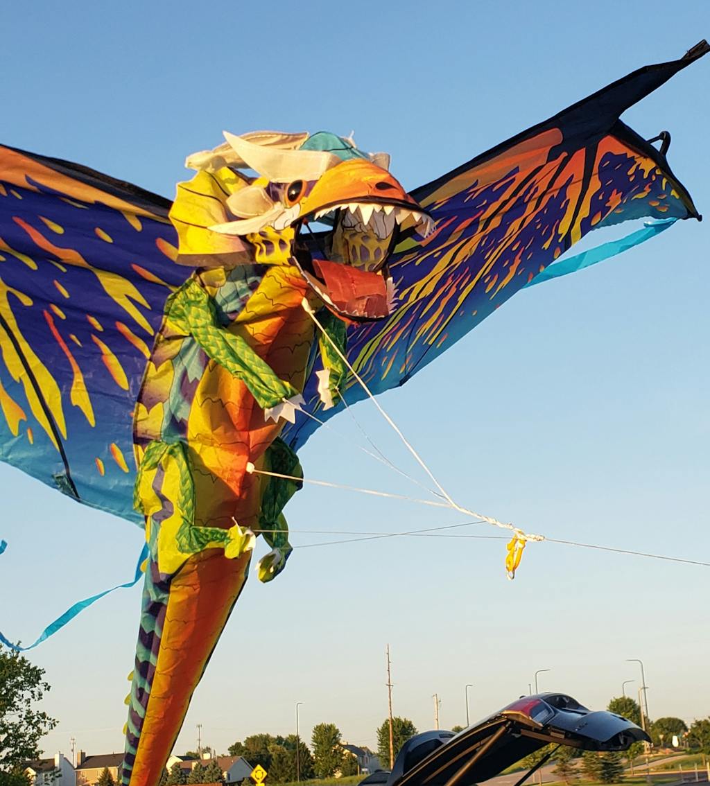 Dragon 48 Inch Best Flyer Kite Kitty Hawk Kites Online Store