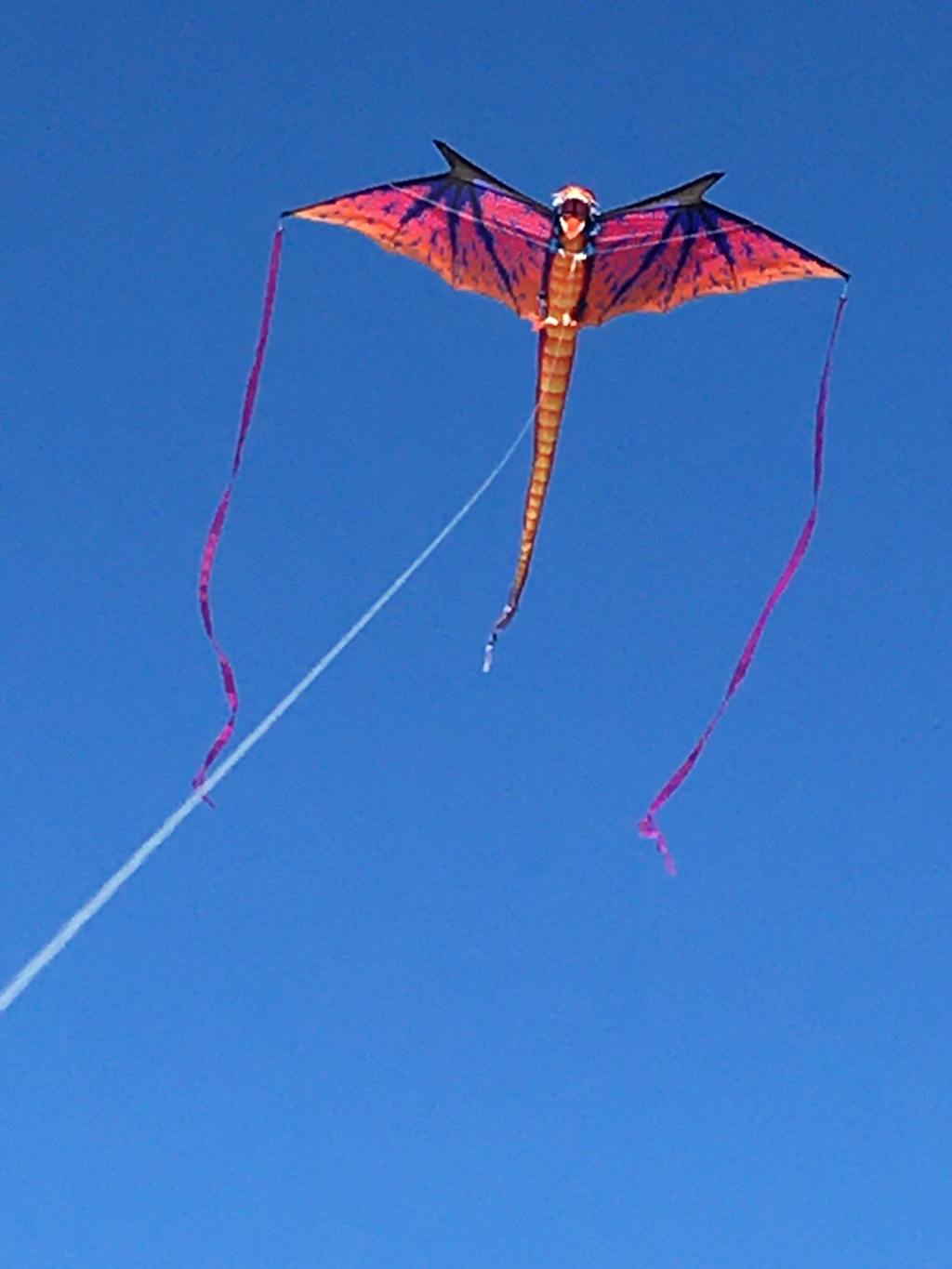 10ft Dragon Sky Giant Kite – Kitty Hawk Kites Online Store