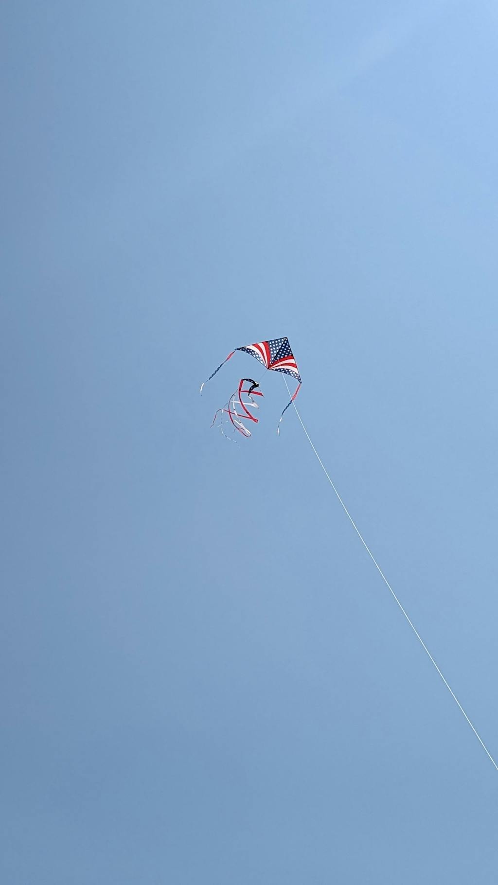 6.5 Foot Festive Sky Delta Kite Package Kitty Hawk Kites Online Store