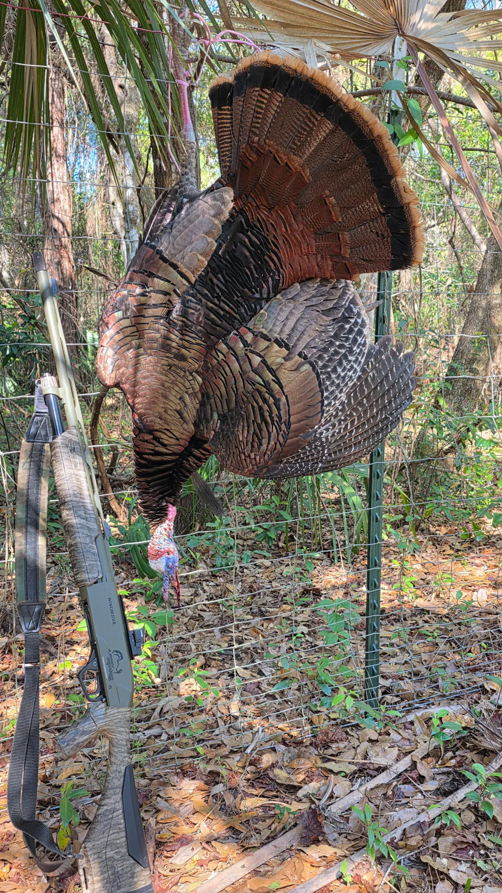 WINGMAN Starter Package