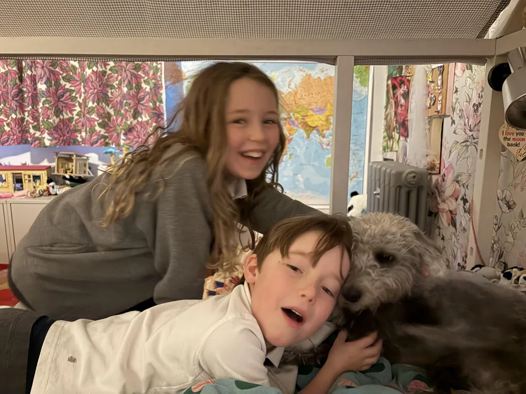 The Pod | Coffee Knock Box