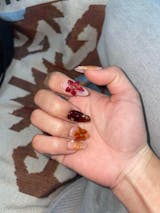 Manzana Canela Otoñal